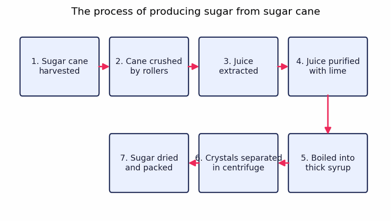 Band 8.0 — Process: Producing Sugar from Sugar Cane