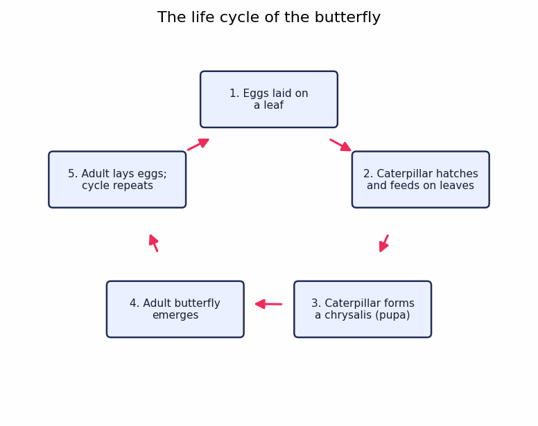 Band 7.5 — Process: The Life Cycle of the Butterfly